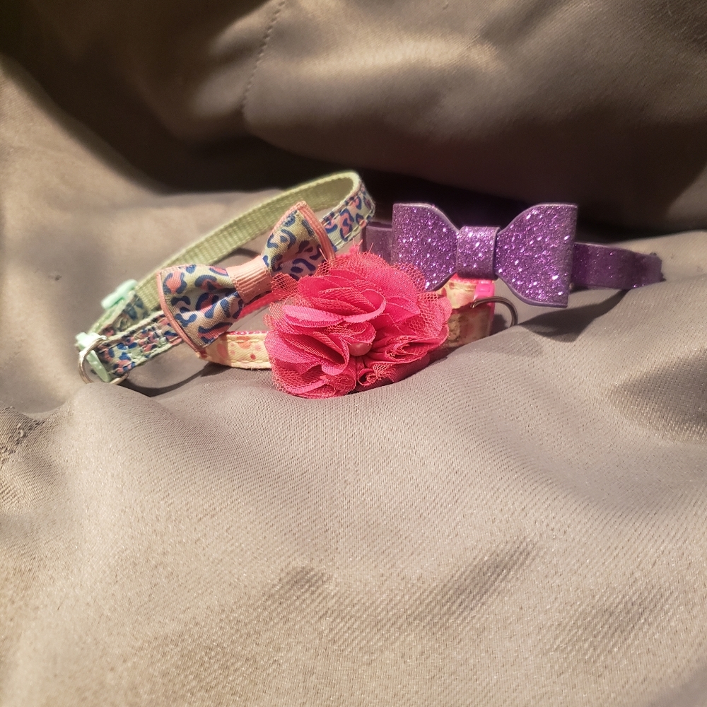 PET | XS Female Dog Collar Bundle!